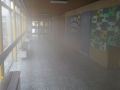 20160509_192157 (Medium)