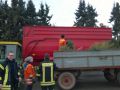 WP_20150110_010 (Mittel)