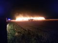 IMG-20180801-WA0001