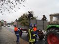 DSC08311 (Mittel)