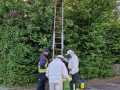 IMG-20250520-WA0002