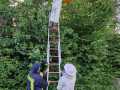 IMG-20250520-WA0005