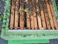 IMG-20250520-WA0011