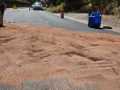 IMG-20250705-WA0003