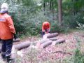 20150824_194013 (Medium)